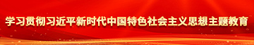 逼逼骚.com学习贯彻习近平新时代中国特色社会主义思想主题教育